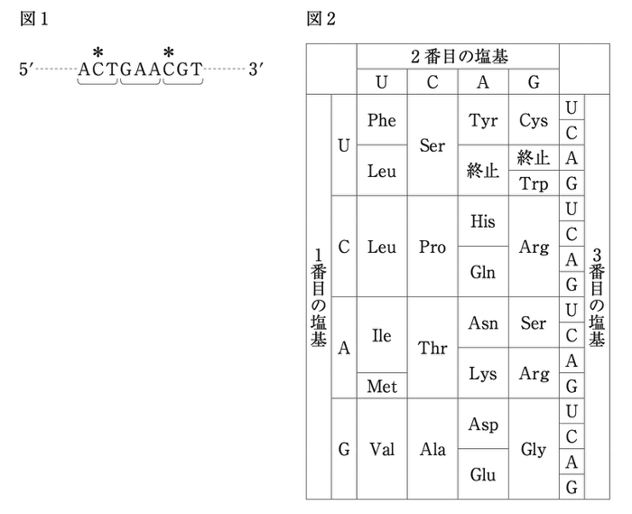 解説画像